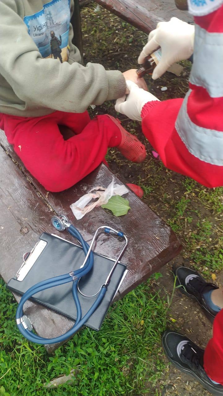 Изображение из галереи