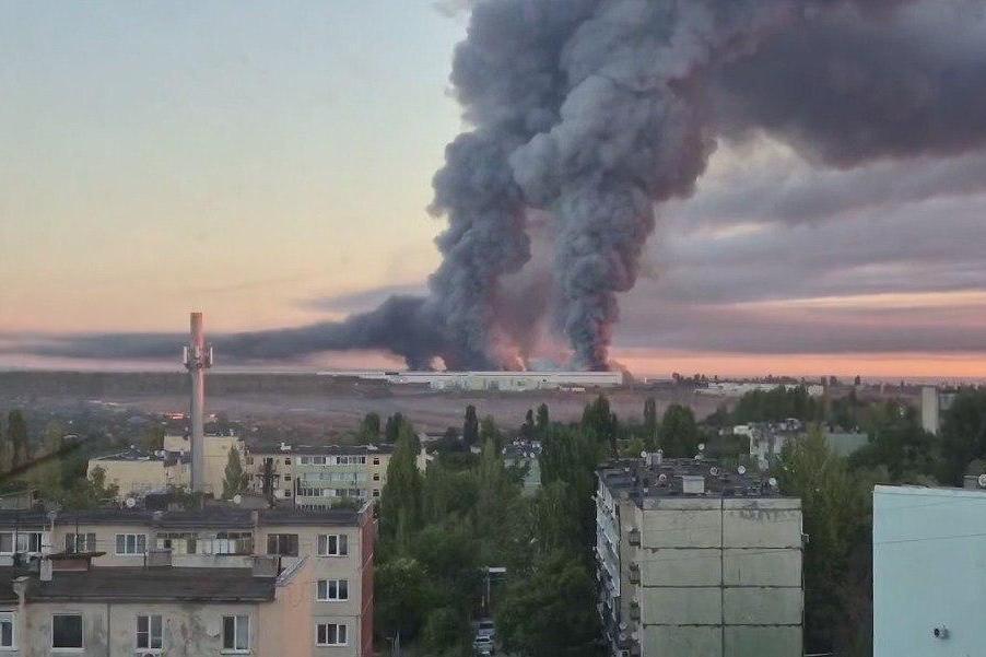 Фото: соцсети