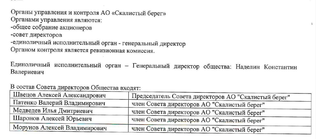 Скриншот из финансовой отчетности АО «Скалистый Берег» за 2024 год